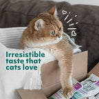 Optimeal Grain-Free Wet Cat Food Pouches – Shrimp & Salmon in Savory Gravy, High Protein & Moisture-Rich Tender Morsels, Indoor Adult Cat Wet Food with Natural European Ingredients, 3 oz (Pack of 12)