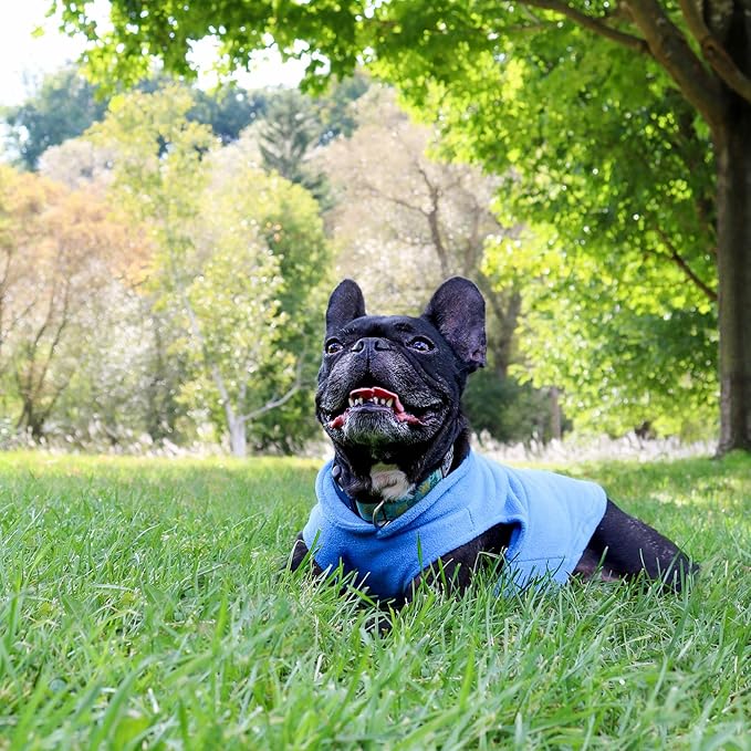 JACKO & CO - Fleece Vest Sweater with Leash Ring - Soft Lightweight Breathable for Puppies Small Medium Dogs, Kitten, Cats, Chihuahua - Warm for Fall/Autumn/Winter (Blue, Large 10-16lbs)