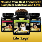 Hip and Joint Chews for Dogs Plus Skin and Coat Supplement - Dog Joint Pain Relief Treats - Glucosamine, Chondroitin, MSM, Hemp Oil, Turmeric, Omega 3 for Dogs, Mobility Bites Dog Health