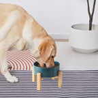 8'' Ceramic Raised Dog Bowl - 70Oz Dog Food & Water Bowl with Elevated Non-Slip Bamboo Stand, Dishwasher & Microwave Safe, Anti Vomiting Heavy Duty Pet Bowl for Medium and Large Dogs, Green