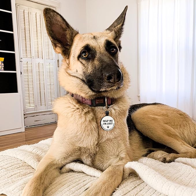 MYLUCKYTAG Silent Silicone QR Code Dog Tags - Scan QR for Instant Pet Location Alerts