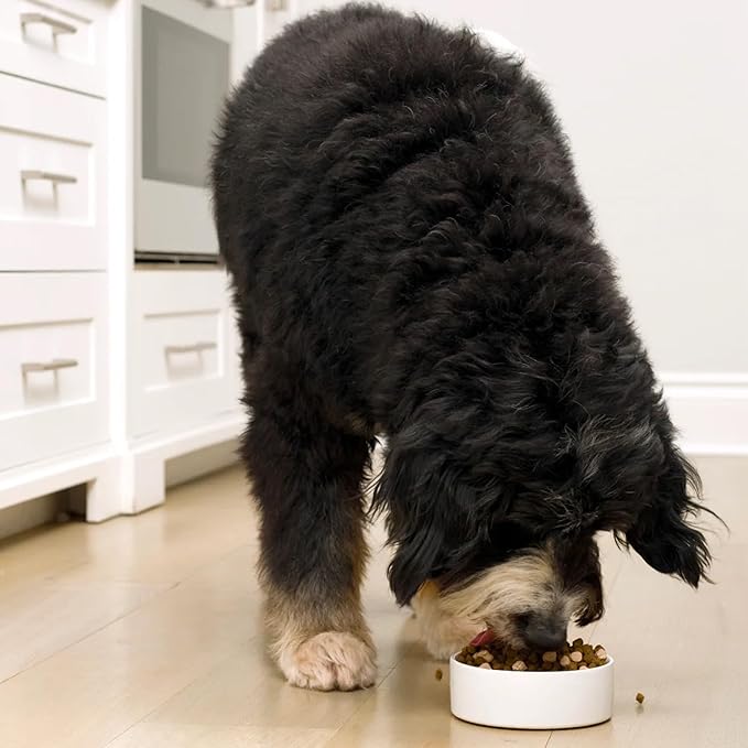 Open Farm, RawMix Grain-Free Dry Dog Food, Protein-Packed Kibble Coated in Bone Broth with Freeze Dried Raw Chunks, Pollock Beef & Salmon, Tide & Terrain Recipe, 20lb Bag