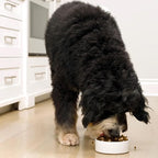 Open Farm, RawMix Grain-Free Dry Dog Food, Protein-Packed Kibble Coated in Bone Broth with Freeze Dried Raw Chunks, Chicken & Turkey, Open Prairie Recipe, 3.5lb Bag