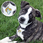 NFL Los Angeles Rams Engraving Pet ID Tags 32 Team Logo Shapes Personalized Dog & Cat Tags 3 Lines Text Tracking & Safety Stainless Steel