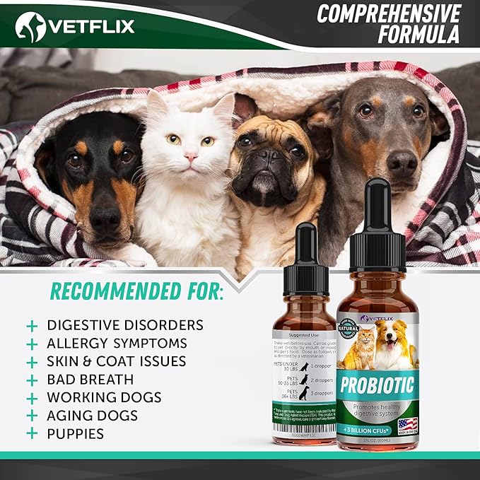 Premium Probiotics for Dogs & Cats - Digestive Enzymes & Prebiotics Supplement - Supports Digestive Health & Gut Balance - 2 Fl Oz
