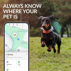 CollarDirect Airtag Dog Collar Reflective Nylon Neoprene Leather Holder for Apple Air Tag for Large, Medium, and Small Dogs (Green, S, 12-14.5 Inch)