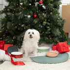 Waterproof Silicone Pet Food Mat - Non-Slip Spill-Proof Feeding Mats for Floors, Raised Edge Design, Easy-to-Clean Rubber Mat for Dog & Cat Bowls, 28" Across x 14" Deep, Large-Charcoal