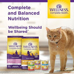 Wellness Complete Health Pate Adult Wet Cat Food, Natural, Protein-Rich, Grain Free, 3 Ounce, 12 Pack, (Chicken & Turkey Favorites Variety Pack)