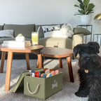 Dog Toy Basket with Lid, Dog Basket for Toys, Dog Toy Box with Cotton Rope Handles, Collapsible Storage Bins for Tog Toys, Dog Storage Organizer, Green