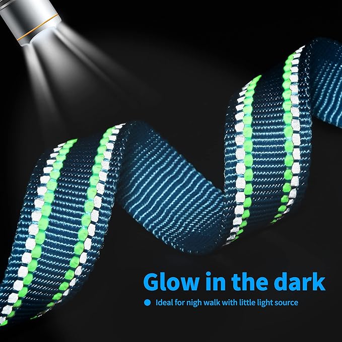 Mile High Life Nylon Night Light Glow Collar, Reflective Light Up Dog Collar, Fluorescent Self-Luminescent Strap for Small Medium Large Dogs (Hot Blue, XS Neck9-13")