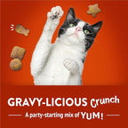 Purina Friskies Cat Treats, Party Mix Gravy-licious Crunch Chicken and Gravy Flavors - 20 oz. Pouch