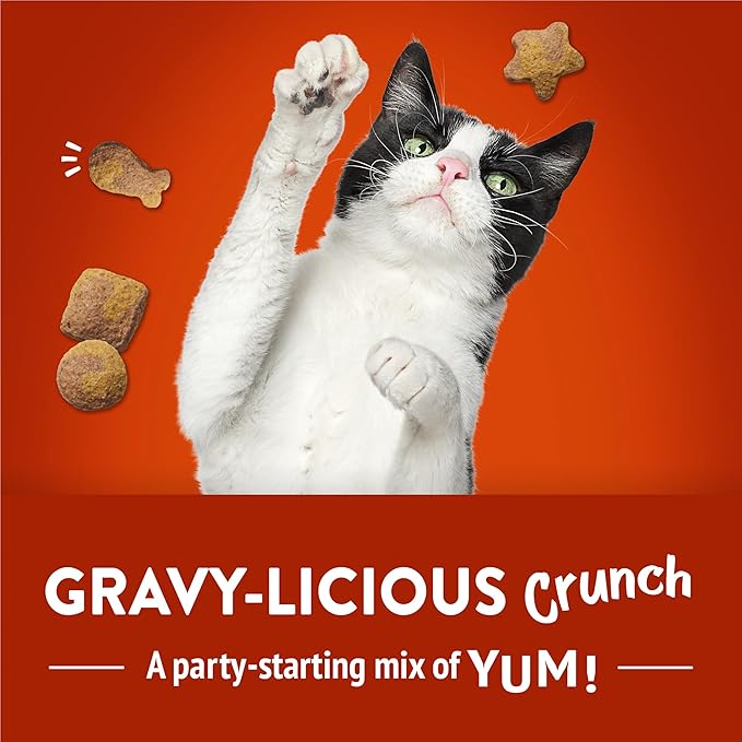 Purina Friskies Cat Treats, Party Mix Gravy-licious Crunch Chicken and Gravy Flavors - 20 oz. Pouch
