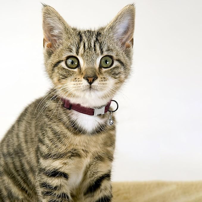 Leather Cat Collar with Buckle and Removable Bell - Non Breakaway Adjustable Soft Safety Small Pet Collars for Girl Boy Cats Kitten (Burgundy)