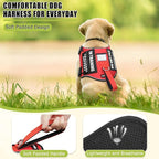 Service Dog Vest Harness+ID Tag+10 Patches,Metal Serivce Dog Tag&Reflective Emotional Support Dog Vest with Handle for Small Dogs,Easy Put On/Off for Training/Walking/Everyday Red XS