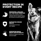 Go! Solutions Sensitivities Limited Ingredients, Grain-Free Dry Dog Food, Turkey Recipe for Sensitive Stomach, 3.5 lb Bag