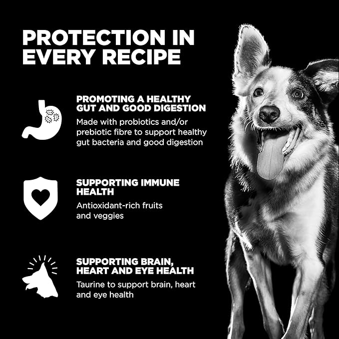 Go! Solutions Sensitivities Limited Ingredients, Grain-Free Dry Dog Food, Lamb Recipe for Sensitive Stomach, 3.5 lb Bag