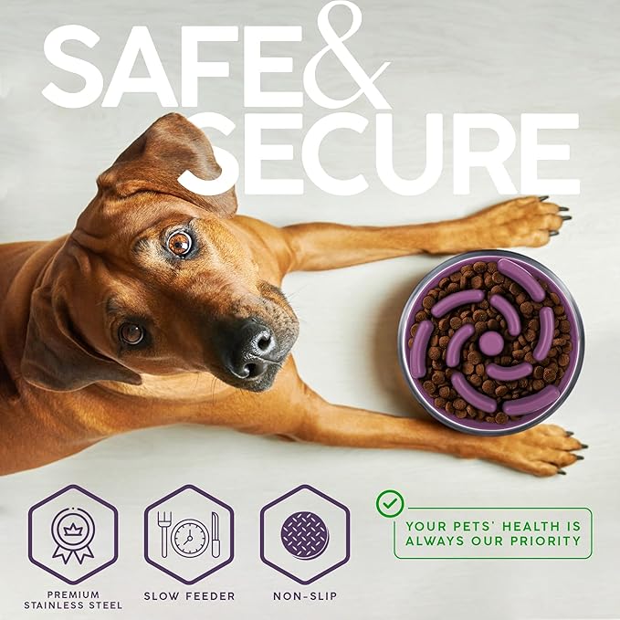 32 Oz Dog Bowl with Slow Feeder Insert Stainless Steel Pet Water Bowl for Medium & Large Breed Non Slip Rubber Base & Plastic Puzzle Feeder - Lavender