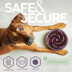 32 Oz Dog Bowl with Slow Feeder Insert Stainless Steel Pet Water Bowl for Medium & Large Breed Non Slip Rubber Base & Plastic Puzzle Feeder - Lavender