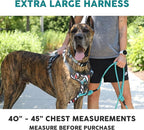 Embark Adventure Dog Harness, Reflective Trim XL Dog Harness for Extra Large Dogs No Pull - Military Grade Nylon, 2 Leash Clips & Gel Lined Handle.