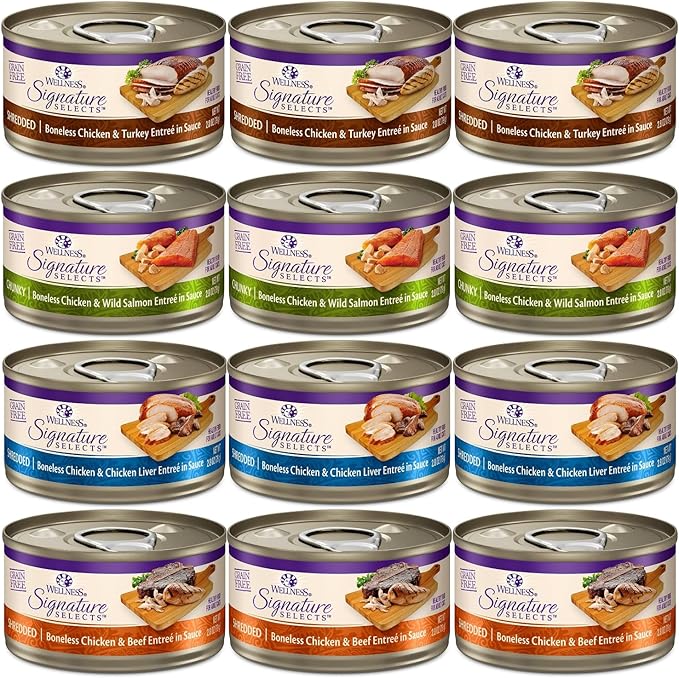 Hotspot Wellness Grain Free Wet Cat Food Variety Bundle - 4 Flavors Pack (12 Cans) With Bowl: Chicken, Liver, Salmon & Turkey (2.82oz)