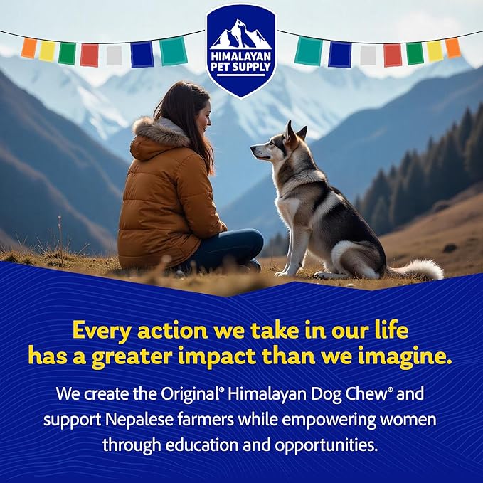 Himalayan Dog Chew Original Yak Cheese Dog Chews, The Better-For-You Chew, 100% Natural, Long Lasting, Healthy Safe Dog Treats, Lactose & Grain Free, Protein Rich, For Dogs 65 Lbs & Smaller, 5-Count