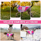 Pullover Dog Sweater,Half Chest Lapel Design Pet Sweaters for Dogs Boys or Girls,Pet Knitted Dog Clothes,Pet Clothing,Suitable for Various Sizes or Breeds Dogs Sweaters(Purple Group,3XL)