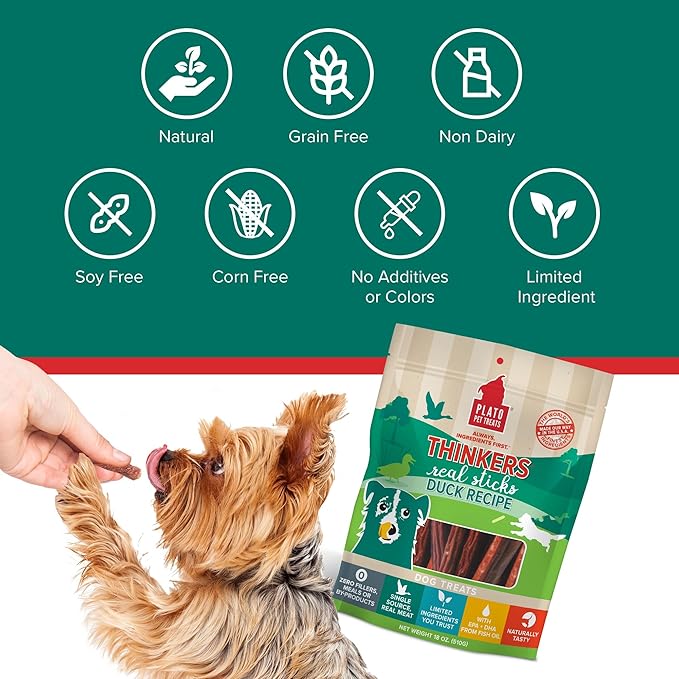 Plato Thinkers Duck 10oz