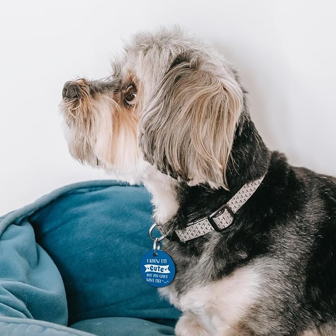 MYLUCKYTAG QR Code Stainless Steel Dog ID Tag, Engraved, Durable, Online Pet Profile, Location Alert Email