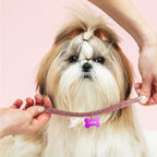 Frienda 60 Pieces Colorful Blank Dog Tags Hand Personalized Blank ID Tags Aluminum Round Dog Bone Shape Pet ID Stamping Discs with Hole for Cats Pets Name Craft