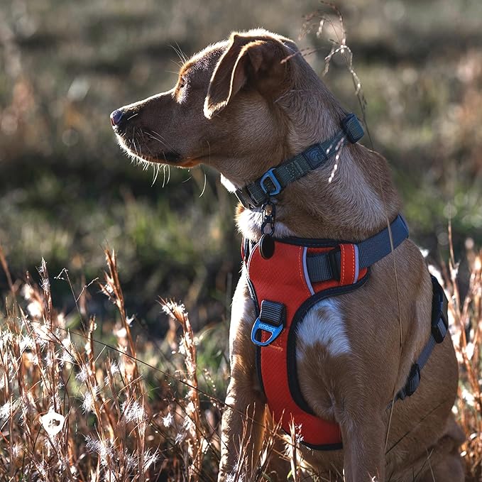 Embark Adventure Dog Harness, Reflective Trim No Pull Dog Harness for Large Dogs - Military Grade Nylon, Front Clip with Gel Lined Handle.