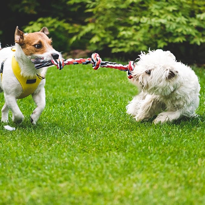 TwoEar Dog Rope Toy 4 Pack - Puppy Teething Toys for Small Breed - Indestructible Dog Chew Toys for Aggressive Chewers - Cotton Tug of War Dog Toys for Boredom, Teeth Clean