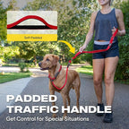 Fida 2-in-1 Slip Leads for Dogs with Double Handles, Tangle Free Leash for Large Dogs That Pull, Heavy Duty No Pull Training Leash Reflective Soft Padded for Large & Medium Breed(6ft,Red)