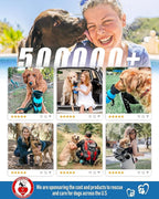 Lesotc Dog Water Bottle, Portable Pet Water Dispenser, Leak Proof Travel Squeeze Water Bottle for Dogs, Puppy Essentials Dog Stuff Accessories for Outdoor Walking, Hiking, BPA-Free, Lightweight