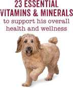 Purina Beneful Wet Dog Food Variety Pack, Prepared Meals & Chopped Blends - (16) 10 oz. Tubs