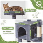 Taoqimiao MS042G Cat Tree,66-inch Large Cat Tower with Scratching Posts, Luxurious Large Platform for Big Cats with Soft Hammock, Adjustable Basket, Deluxe Cat Cando, Top Perch Smoke Gray