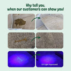 Sunny & Honey Pet Stain & Odor Miracle - 1 Gallon (128 Fl Oz), Spring Mint Scent - Carpet Shampoo, Cat Pee Enzyme Cleaner & Carpet Spot Remover for Upholstery & Mattress