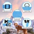 LED Light Up Dog Collar Rechargeable Waterproof, Glow in Dark Dog Collar, Lighted Dog Collars for Night Walking Charging USB, Safety for Small Medium Large Dogs (S, Blue)