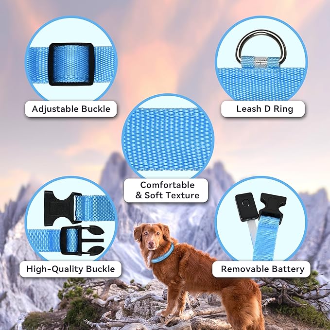 LED Light Up Dog Collar Rechargeable Waterproof, Glow in Dark Dog Collar, Lighted Dog Collars for Night Walking Charging USB, Safety for Small Medium Large Dogs (XL, Blue)