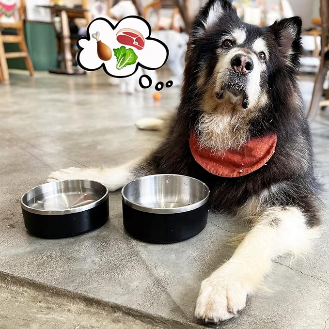 LIHONG Stainless Steel Dog Bowls for Large Dogs,Dog Food Water Bowls with Non Slip Rubber Bottom,Pet Feeding Bowl,Double Wall Insulated,Rustproof(64oz,Black)