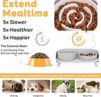 Elevated Slow Feeder Dog Bowls - Ceramic Food and Water Bowl Set with Stand - Raised Pet Dishes for Small and Medium Sized Dogs