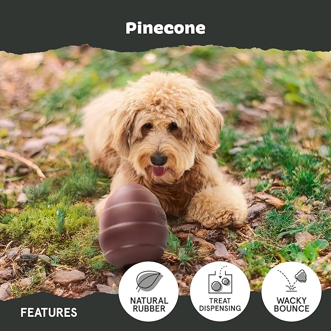 Barkbox Pine Cone Dog Toy | Natural Rubber, Treat Dispensing, Durable & Wacky Bounce | Dog Toy for Aggressive Chewers