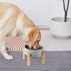 8'' Ceramic Raised Dog Bowl - 70Oz Dog Food & Water Bowl with Elevated Non-Slip Bamboo Stand, Dishwasher & Microwave Safe, Anti Vomiting Heavy Duty Pet Bowl for Medium and Large Dogs, Grey