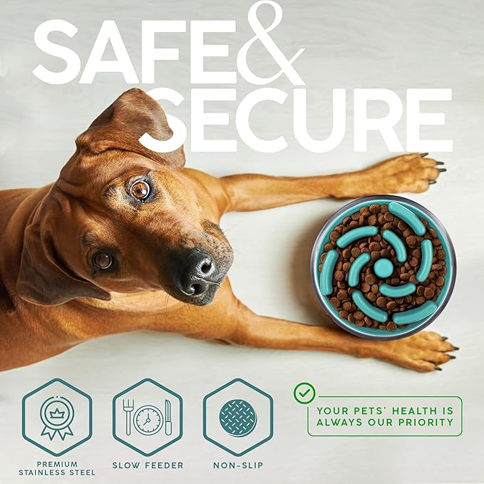 32 Oz Dog Bowl with Slow Feeder Insert Stainless Steel Pet Water Bowl for Medium & Large Breed Non Slip Rubber Base & Plastic Puzzle Feeder - Teal