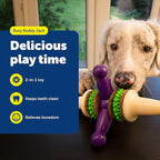 PetSafe Busy Buddy Jack - Keeps Dog Busy - Includes Treats Refill - Treat Holding Dog Toy - Helps Clean Teeth - Durable Rubber - Strong Chewers - Dishwasher Safe - Large - Purple