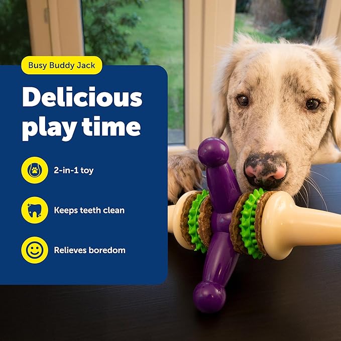 PetSafe Busy Buddy Jack - Keeps Dog Busy - Includes Treats Refill - Treat Holding Dog Toy - Helps Clean Teeth - Durable Rubber - Strong Chewers - Dishwasher Safe - Large - Purple