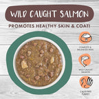 Weruva Classic Cat Stews!, Simmer Down with Turkey, Chicken & Salmon in Gravy, 3oz Pouch (Pack of 12)