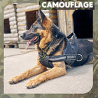 30 Pack Camouflage Military Dog Tags Necklaces Acrylic Army Party Decorations Supplies Bulk with 70 cm Steel Long Beaded Chains for Soldier Men Dogs