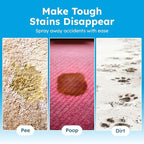 BugMD Enzyme Cleaner for Dog & Cat Urine | Pet Stain and Odor Remover for Carpet & Home | Unscented Urine Destroyer & Deodorizer