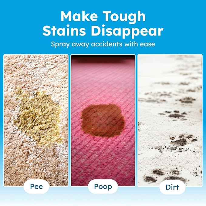 BugMD Enzyme Cleaner for Dog & Cat Urine | Pet Stain and Odor Remover for Carpet & Home | Unscented Urine Destroyer & Deodorizer