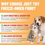 Just Try 16OZ Freeze-Dried Dog Teats Mix for Dogs & Cats - Chicken, Duck, Salmon, Cod, Liver & Heart - Grain-Free, Training & Treats